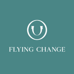 Flying Change